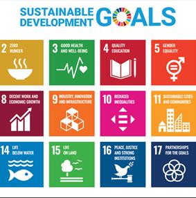 Delivering Sustainable Tourism: Insights for Inbound Tour Operators