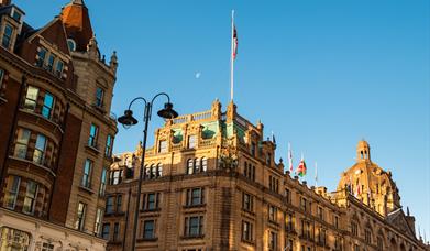 Harrods Marketing Campaign Consumer Survey