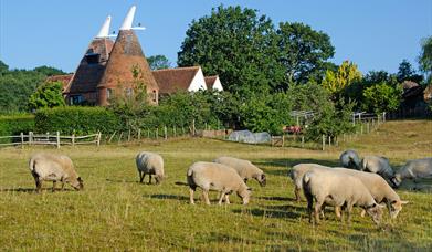 Local Produce Guide for the South East of England