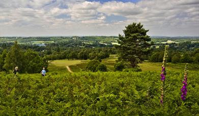 Tourism in the High Weald Area of Outstanding Natural Beauty is a central part of its Management Plan. 