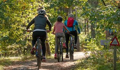 Cycling tourism is a popular activity for European tourists.