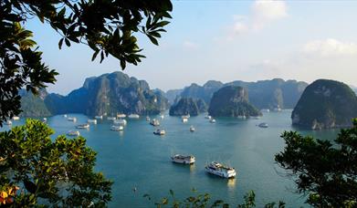  Cruise ships in Halong Bay