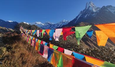 Prayer flags in the Himalayas