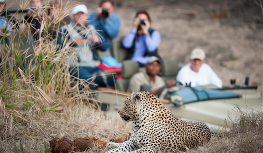 Safari Holidays in Africa