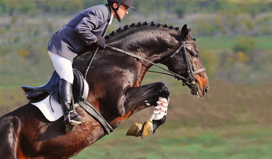 Horse Racing and Equestrian Tourism in Scotland