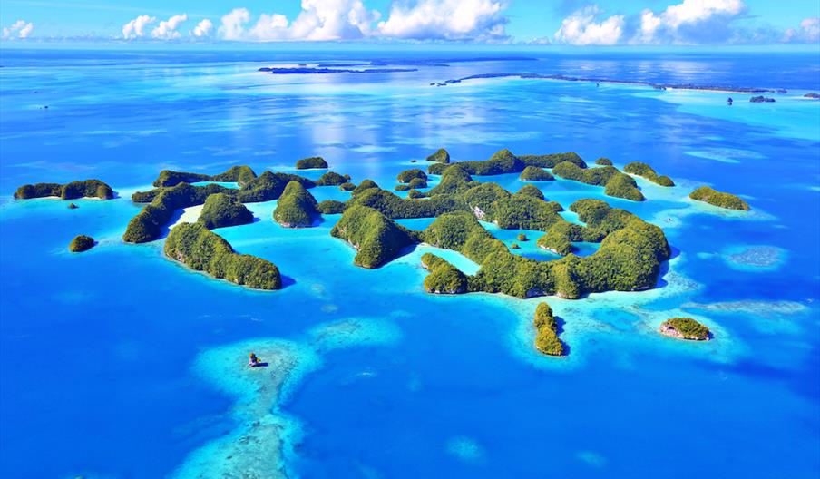 Visitor Survey for Palau