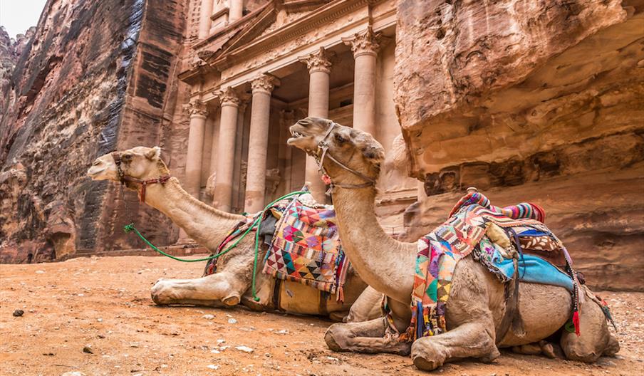 Inbound and Outbound Visitor Survey for Jordan