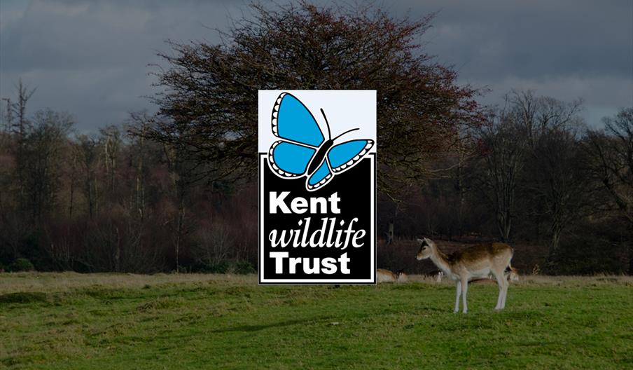 Kent Wildlife Trust