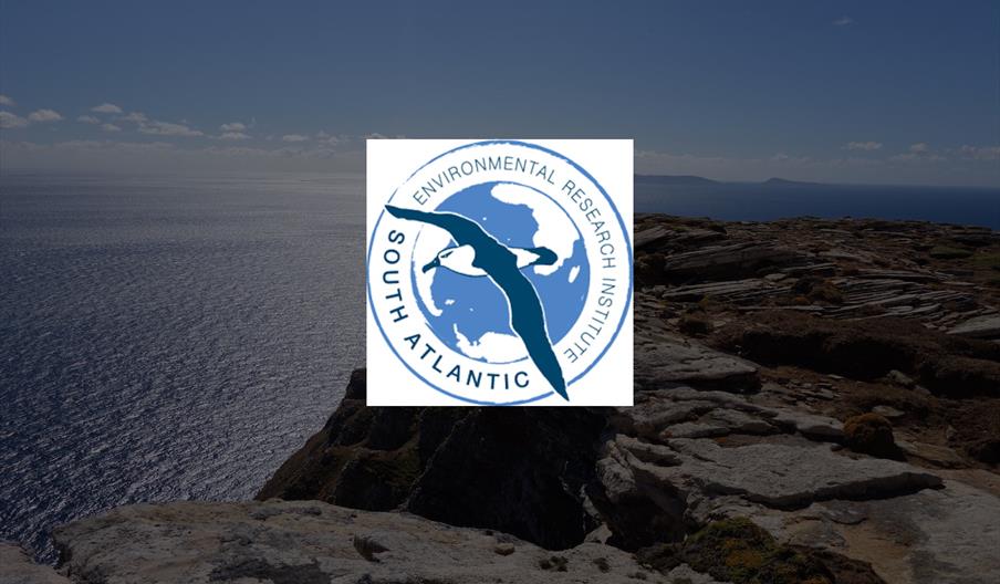 South Atlantic Environmental Research Institute