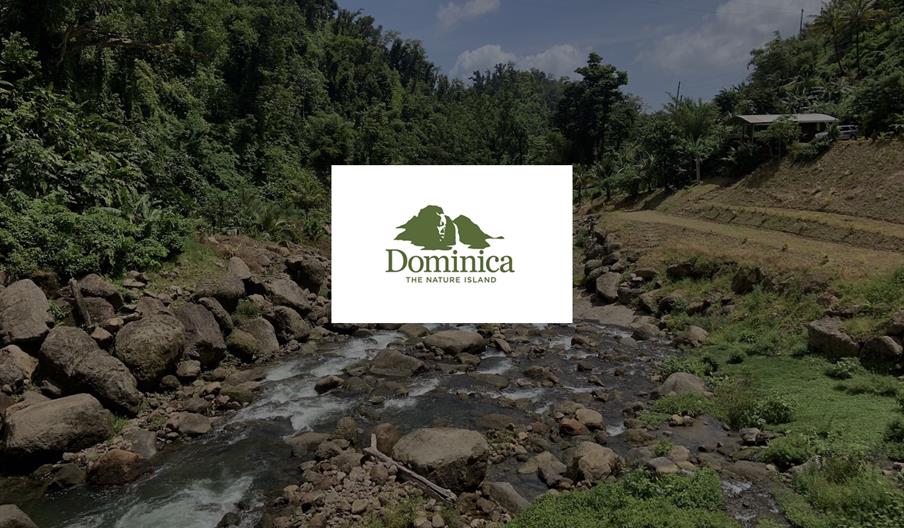 Discover Dominica Authority