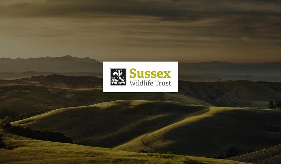 Sussex Wildlife Trust