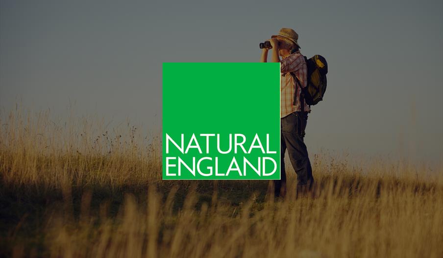 Natural England