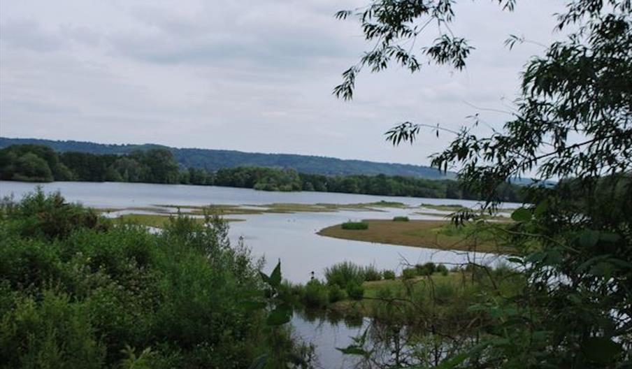 Sevenoaks Nature Reserve