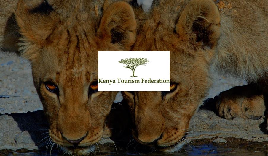 Kenya Tourism Federation