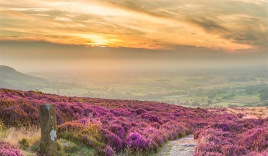 North York Moors National Park