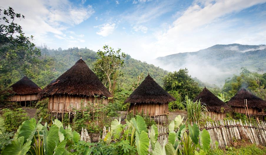 Papua New Guinea