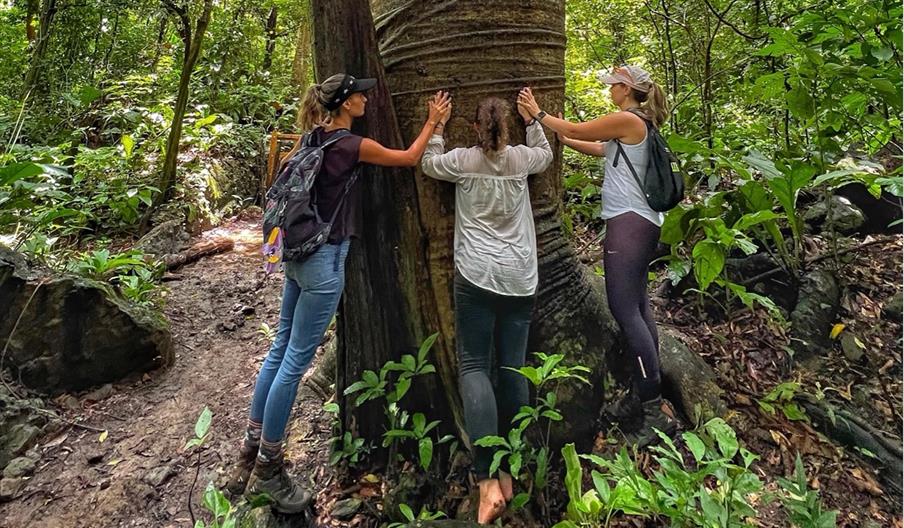 Building Regeneration into Your Tourism Business, A Practical Guide for SMEs