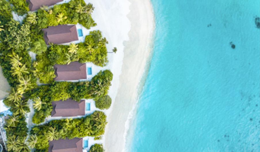 Beaches are popular destinations for honeymoons