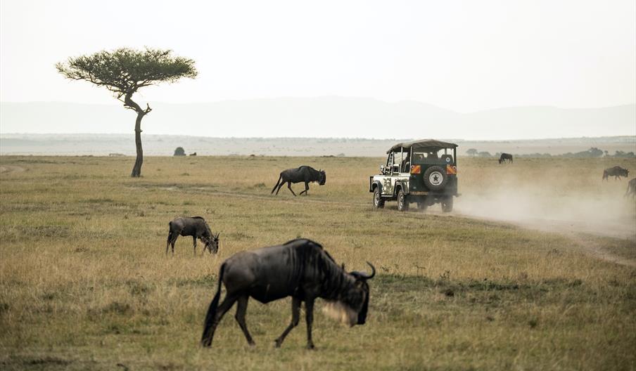 Driving Holidays in Africa