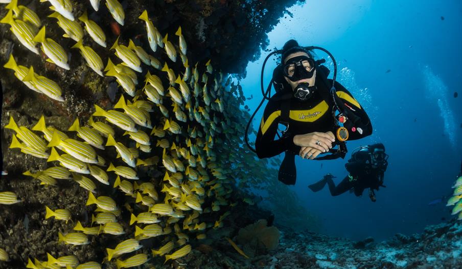 Reef diving with tropical fish