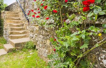 Audience Development Plan for St. Leonards Gardens in East Sussex