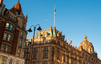 Harrods Marketing Campaign Consumer Survey