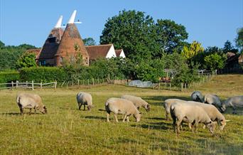 Local Produce Guide for the South East of England