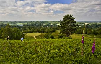 Tourism in the High Weald Area of Outstanding Natural Beauty is a central part of its Management Plan.
