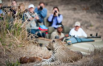 Safari Holidays in Africa