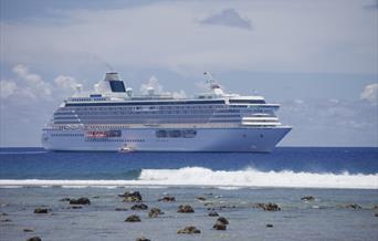 Cruise Tourism Strategy for the Falkland Islands
