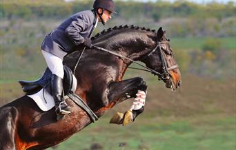 Horse Racing and Equestrian Tourism in Scotland