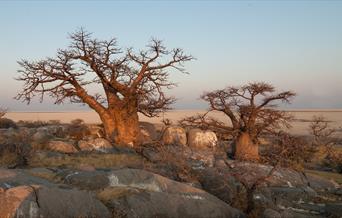 National Tourism Strategy and Tourism Development Master Plan for Botswana 2022-2032