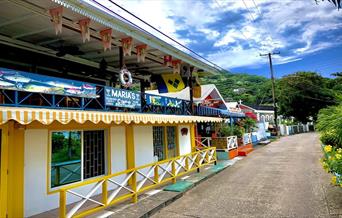 Marketing Strategy to Promote Yachting, Ecotourism Adventures and CBT in St. Vincent and the Grenadines