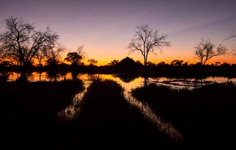 System of Tourism Statistics and Database for Botswana