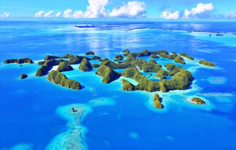 Visitor Survey for Palau