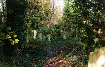 Abney Park Cemetery in Hackney is one of London’s Magnificent Seven Cemeteries. It needed a Conservation Management and Business Plan to ensure a sust