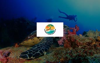 Caribbean Tourism Organisation