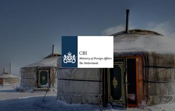 CBI