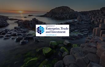 Department of Enterprise, Trade and Investment