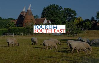 Tourism South East