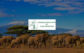 Tanzania Association of Tour Operators