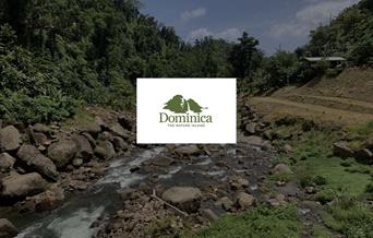 Discover Dominica Authority