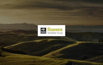 Sussex Wildlife Trust