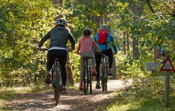 Cycling tourism is a popular activity for European tourists.