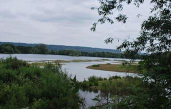 Sevenoaks Nature Reserve