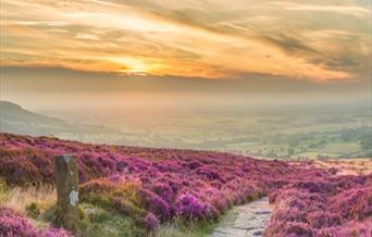 North York Moors National Park