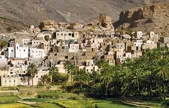 Oman Annual Brand Awareness Research