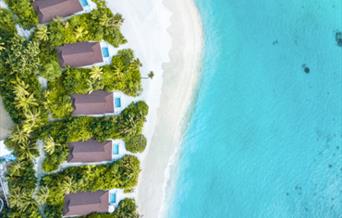 Beaches are popular destinations for honeymoons