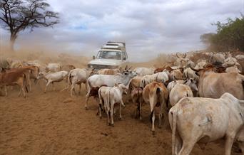 The Omo Valley, Ethiopia