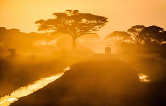 Safari in Rural Africa